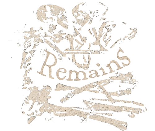 Remains